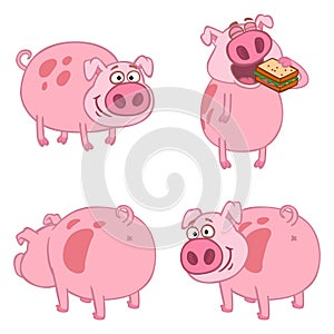 cartoon character farm animals pig eating smiling pose options template set isolate