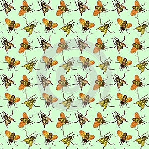 Cartoon character of flies, top view, hand drawn doodle sketch, illustration, seamless pattern design on soft green