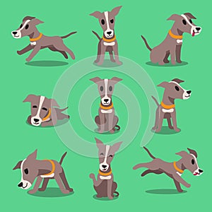 Cartoon character greyhound dog poses