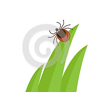 Cartoon character mite in the tall green grass flat vector illustration, mite hiding in the grass, tick-borne mite color