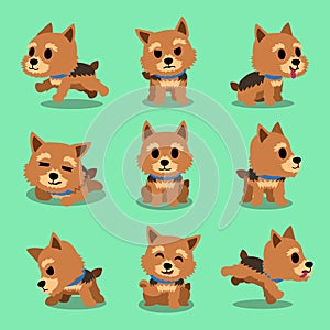 Cartoon character norwich terrier dog poses