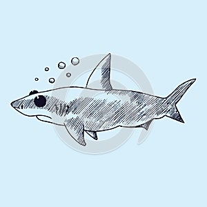 Cartoon character of shark with bubbles, hand drawn doodle sketch, isolated vector