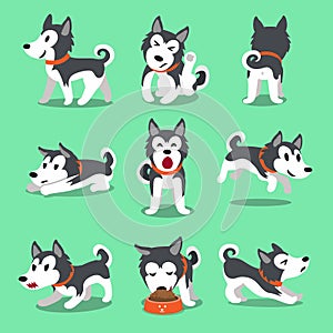 Cartoon character Siberian husky dog poses