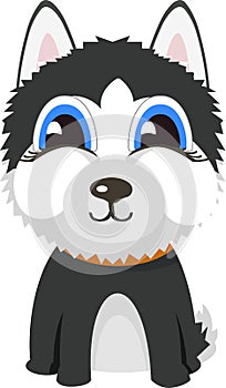 Cartoon character Siberian husky dog poses