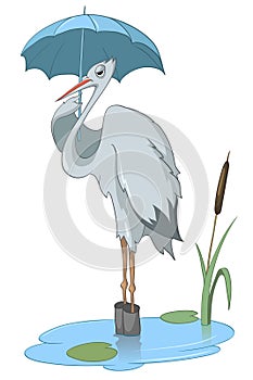 Cartoon Character Stork