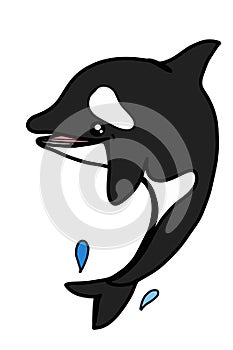 Cartoon characters cartoon orca killer whale illustration drawing