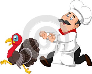 Cartoon chef trying to catch a turkey