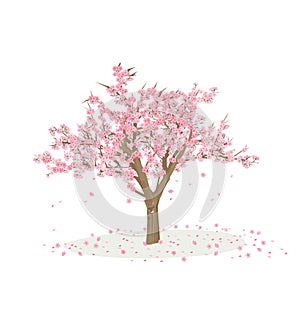 Cartoon Cherry tree