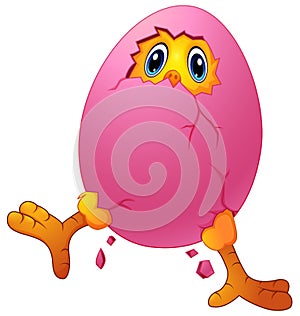 Cartoon chick cracked eggshell