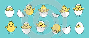 Cartoon chick and egg, Easter chicken vector icon, baby bird with shell, yellow little animal character set. Cute illustration
