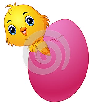 Cartoon chick hatching from an egg