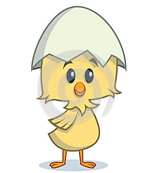 Cartoon chick standing with egg shell on his head