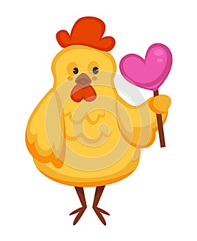 Cartoon chicken chick vector funny character with heart lollipop candy