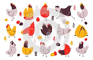 Cartoon chicken collection. Cute domestic animal characters in different poses and postures, domestic flock with eggs