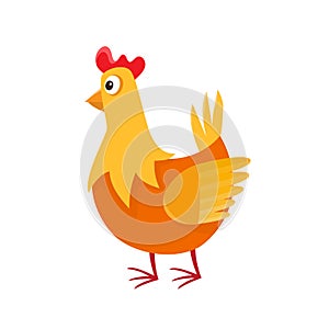 Cartoon chicken isolated on white. Cartoon character design of c