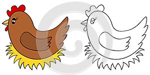 Cartoon chicken on nest colorful and black and white. Hen on nest vector illustration isolated on white background. Coloring book