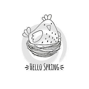 Cartoon chicken in the nest and the inscription hello spring.
