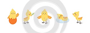 Cartoon chicken, yellow chick sleep eat greetings. Easter little chicks, cute farm birds vector characters. Decorative