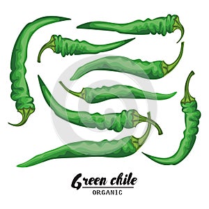 Cartoon chile pepper. Ripe green vegetable. Vegetarian delicious