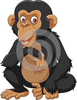 Cartoon chimpanzee isolated on white background