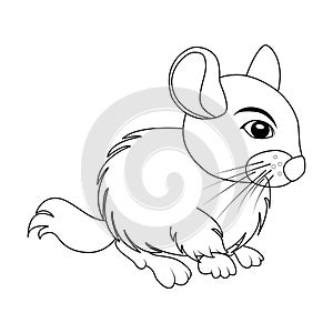 Cartoon chinchilla outline rodent isolated on white background