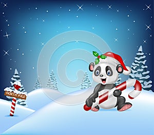 Cartoon Christmas background with panda holding candy