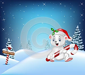Cartoon Christmas background with polar bear holding candy
