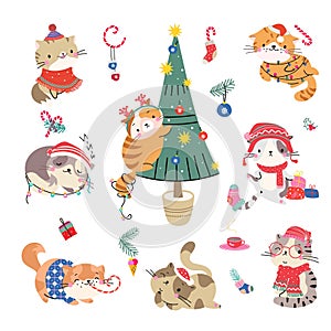 Cartoon christmas kitten, happy holiday cats in xmas outfits. Funny cute pets in ornamental scarf and sweaters. Isolated