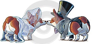 Corgi Bride and Groom Kissing Cartoon Illustration photo