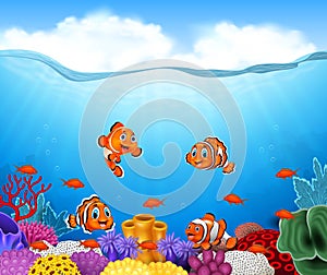 Cartoon clown fish in the