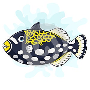 Cartoon clown trigger fish on white background