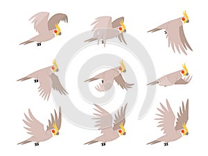 Cartoon cockatoo parrot fly animation frames sequence. Animated sprites loop of tropical bird flying in sky. Parrot wing