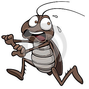 Cartoon cockroach