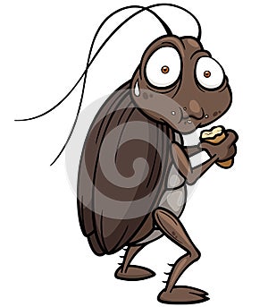 Cartoon cockroach