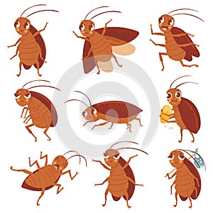 Cartoon cockroach mascot. Angry cockroaches, insect pests and bugs control characters vector illustration set. Funny
