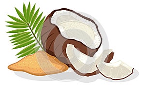 Cartoon coconut sugar. Food sweetening, gourmet nutrition, palm leaf, vector illustration isolated on white background