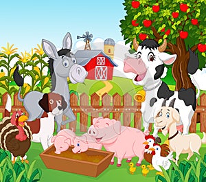 Cartoon Collection animal in the farm photo