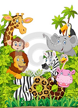 Cartoon collection happy animal zoo