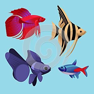 Cartoon Color Aquarium Fish Icon Set. Vector