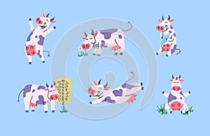 Cartoon Color Characters Different Cute Cows Set. Vector