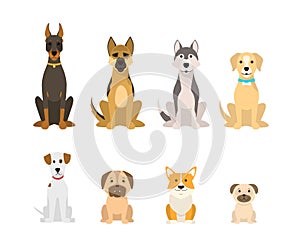 Cartoon Color Dog Breeds Icon Set. Vector