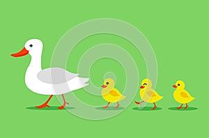 Cartoon Color Duck and Different Little Ducks Set. Vector