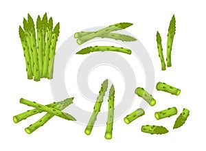 Cartoon Color Green Asparagus Icon Set. Vector