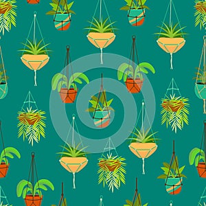Cartoon Color Macrame Hangers for Home Plants Seamless Pattern Background. Vector