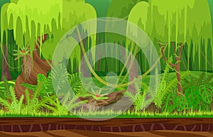 Cartoon color nature tropical rain jungle forest landscape in sun day with grass