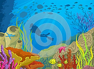 Cartoon colored coral reef and diver