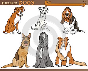 Purebred dogs cartoon illustration set photo