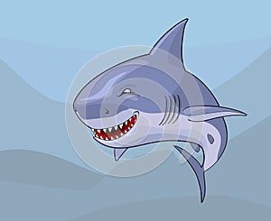 Cartoon comic shark with malignant smile