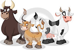 Cartoon cow, calf and bull.