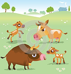 Cartoon cow set: cows, bull and calf bull